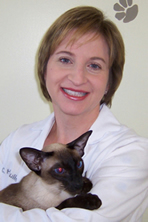 Dr. Cindy Houlihan