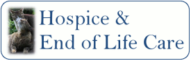 Cat hospice care and end of life care