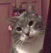 Riley 